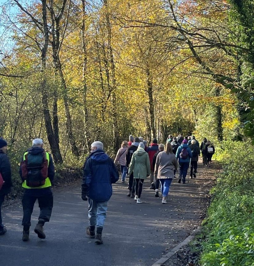 Image shows group of people walking through peaceful park.