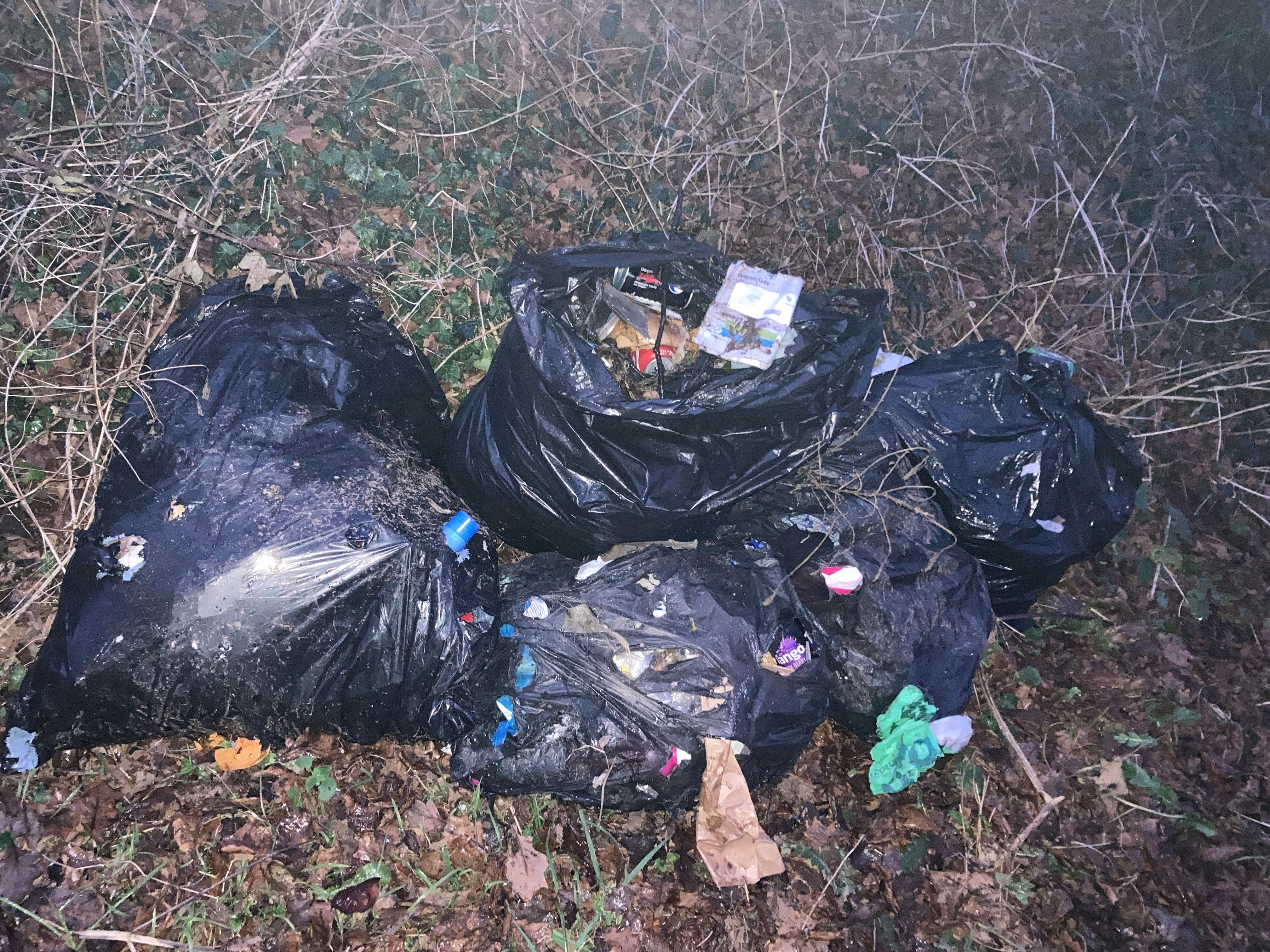 Bags of rubbish dumped