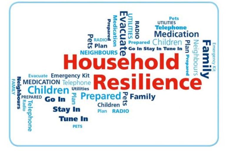 Image shows a wordle containing words that relate to being resilient in the home