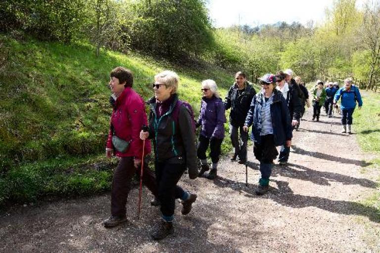 group of people walking along a path through the park with trees in back ground