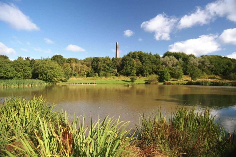 Baggeridge Country Park