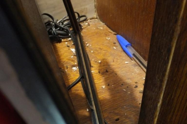 Mouse droppings found on shelving in the bar at The Navigation pub in Greensforge