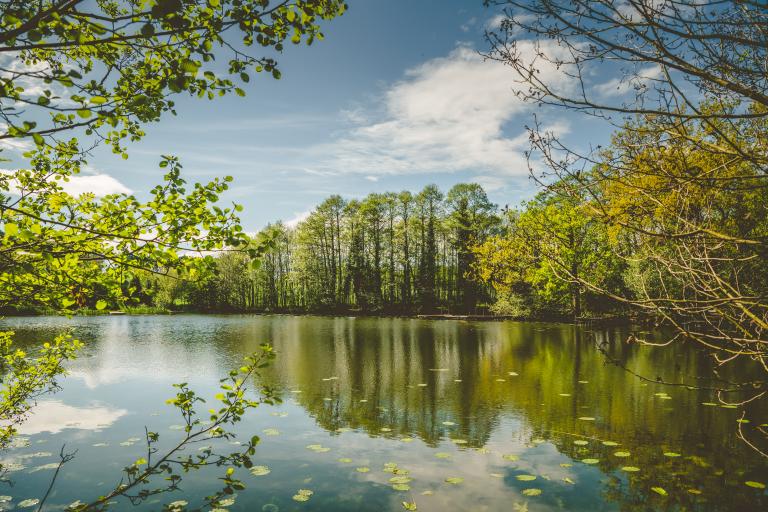 Baggeridge Country Park