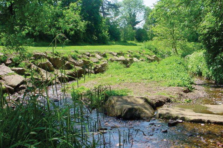 Wom Brook Walk