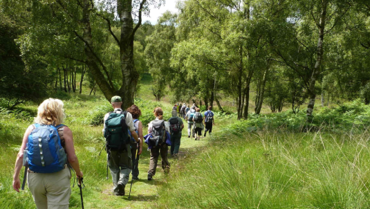 Perton Library Walk