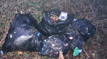Bags of rubbish dumped