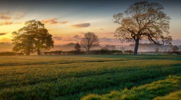 Countryside stock image