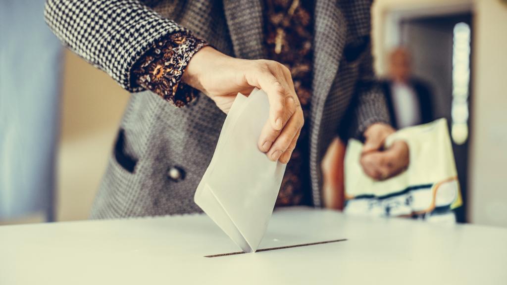 A person casts a vote at an election