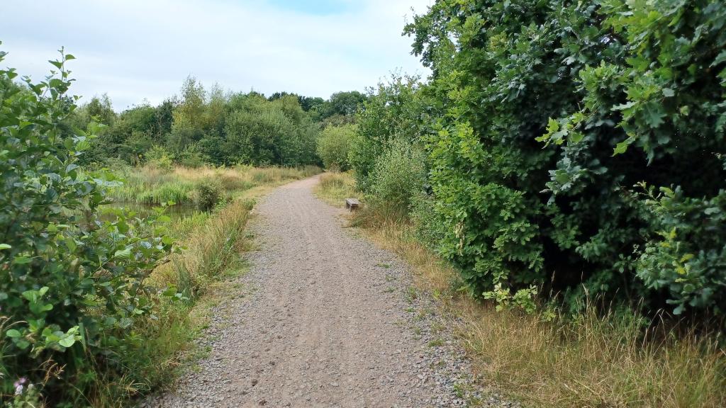 Wyrley Essington Canal - bench, footpath, green bushes