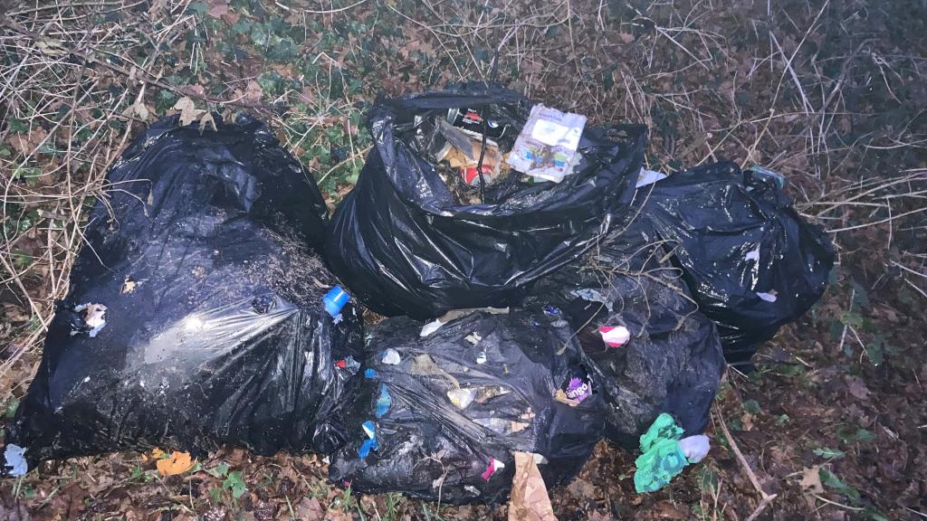 Bags of rubbish dumped