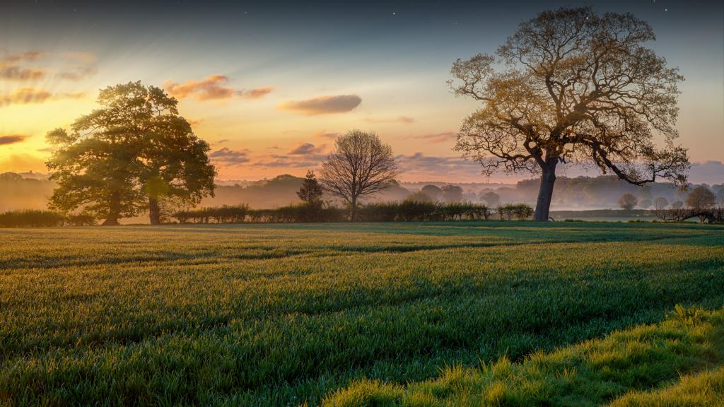 Countryside stock image
