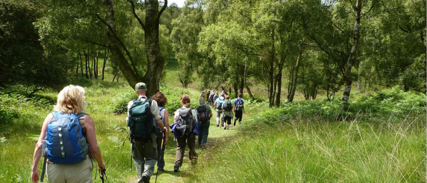 Perton Library Walk