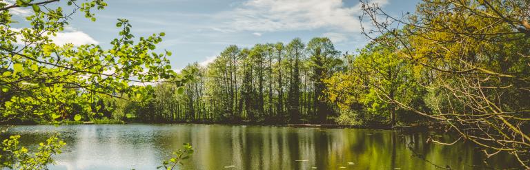 Baggeridge Country Park
