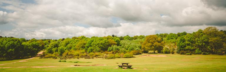 Kinver Edge