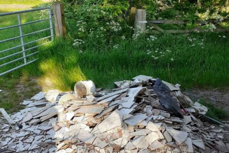 Rubble fly tipping