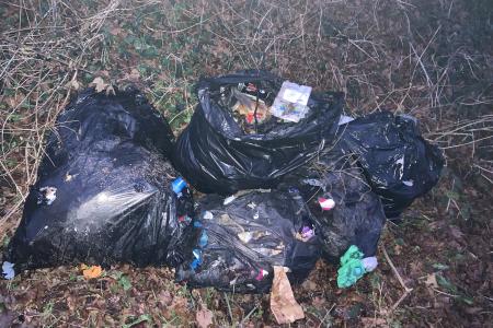 Bags of rubbish dumped