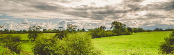 South Staffordshire Railway Walk